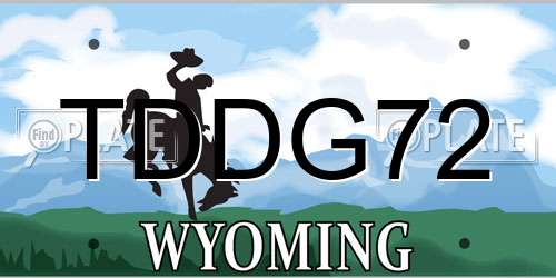 TDDG72 Wyoming License Plate