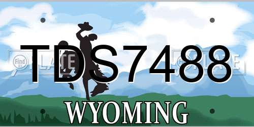 TDS7488 Wyoming License Plate