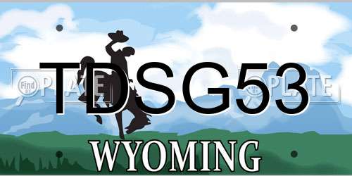 TDSG53 Wyoming License Plate