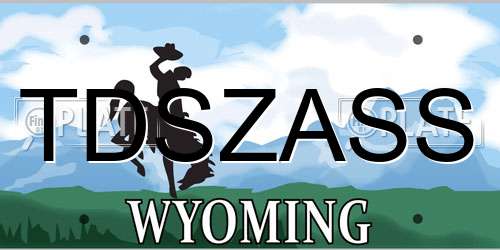 TDSZASS Wyoming License Plate