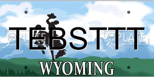 TEBSTTT Wyoming License Plate