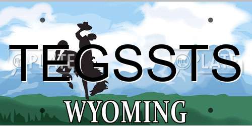 TEGSSTS Wyoming License Plate