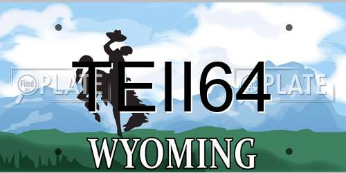 TEII64 Wyoming License Plate