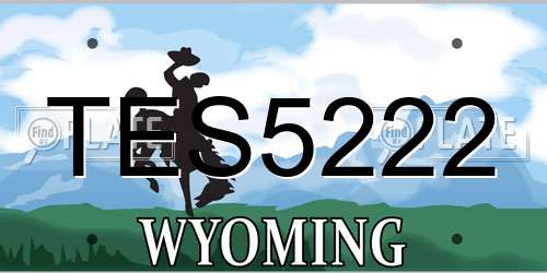 TES5222 Wyoming License Plate
