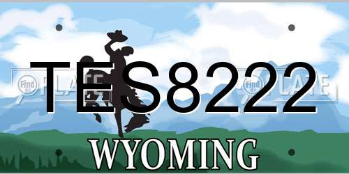 TES8222 Wyoming License Plate
