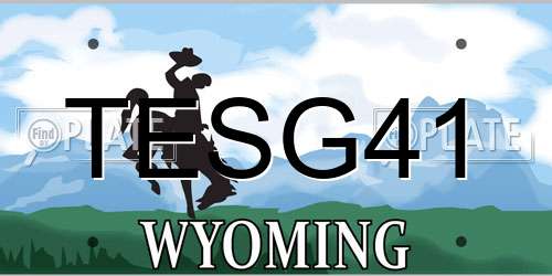 TESG41 Wyoming License Plate