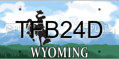 TFB24D Wyoming License Plate