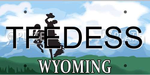 TFEDESS Wyoming License Plate
