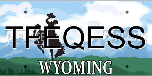 TFEQESS Wyoming License Plate