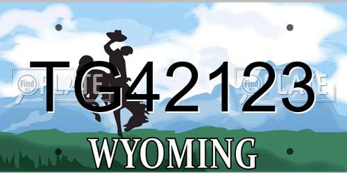 TG42123 Wyoming License Plate