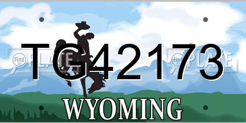 TG42173 Wyoming License Plate