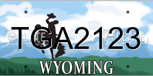 TGA2123 Wyoming License Plate