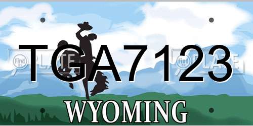 TGA7123 Wyoming License Plate