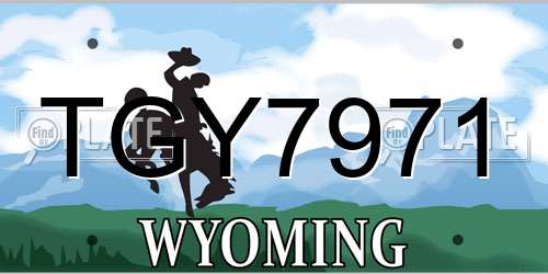 TGY7971 Wyoming License Plate