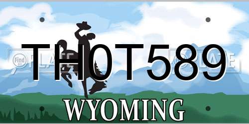 TH0T589 Wyoming License Plate