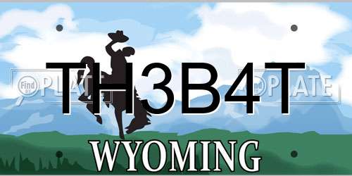TH3B4T Wyoming License Plate