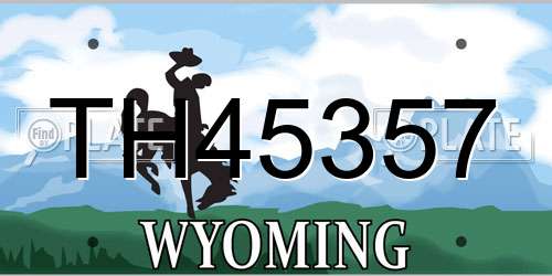 TH45357 Wyoming License Plate