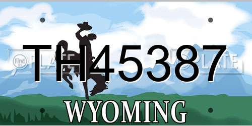 TH45387 Wyoming License Plate