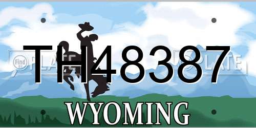TH48387 Wyoming License Plate