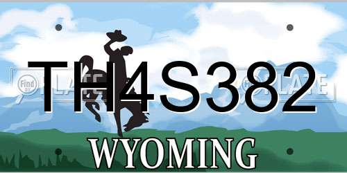 TH4S382 Wyoming License Plate