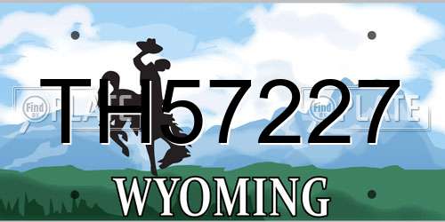 TH57227 Wyoming License Plate
