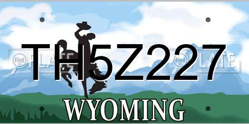TH5Z227 Wyoming License Plate