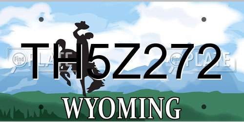 TH5Z272 Wyoming License Plate