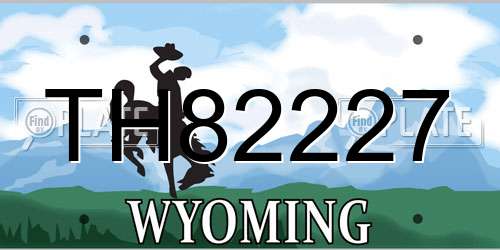 TH82227 Wyoming License Plate
