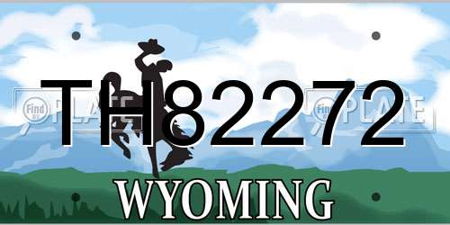 TH82272 Wyoming License Plate