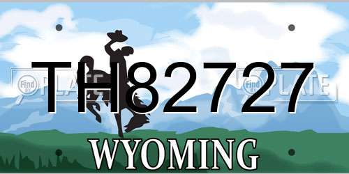 TH82727 Wyoming License Plate