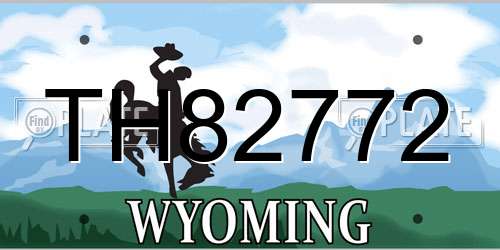 TH82772 Wyoming License Plate