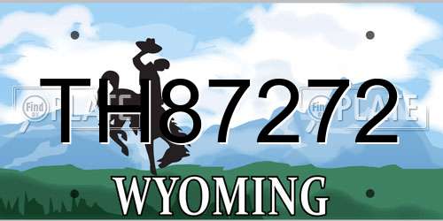 TH87272 Wyoming License Plate