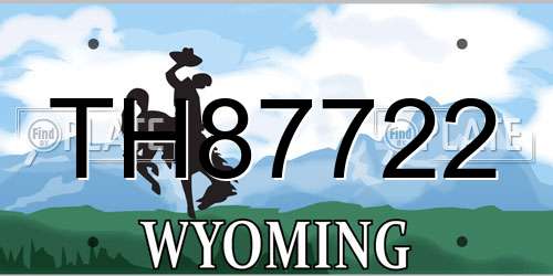 TH87722 Wyoming License Plate