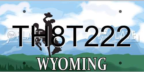 TH8T222 Wyoming License Plate