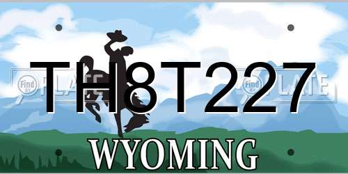 TH8T227 Wyoming License Plate