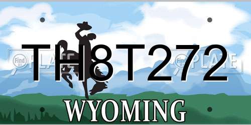 TH8T272 Wyoming License Plate