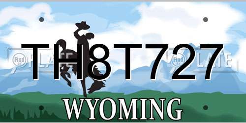 TH8T727 Wyoming License Plate