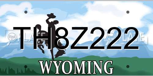 TH8Z222 Wyoming License Plate