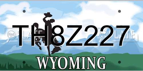 TH8Z227 Wyoming License Plate