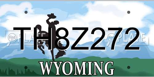 TH8Z272 Wyoming License Plate