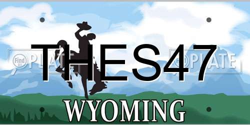 THES47 Wyoming License Plate