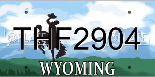 THF2904 Wyoming License Plate