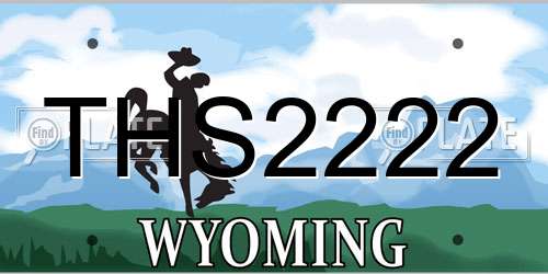 THS2222 Wyoming License Plate