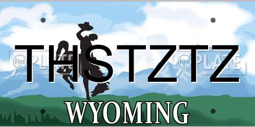 THSTZTZ Wyoming License Plate