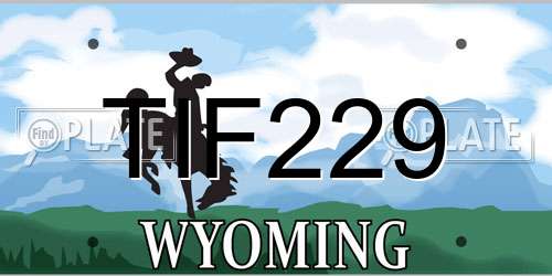 TIF229 Wyoming License Plate