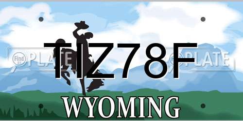 TIZ78F Wyoming License Plate