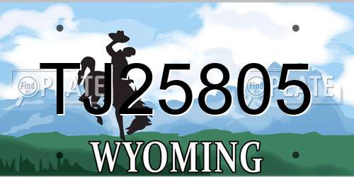 TJ25805 Wyoming License Plate