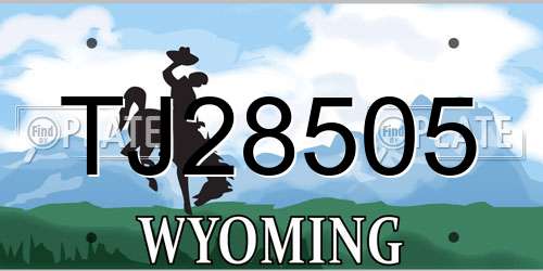 TJ28505 Wyoming License Plate