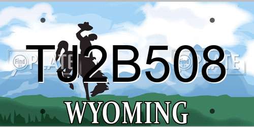 TJ2B508 Wyoming License Plate