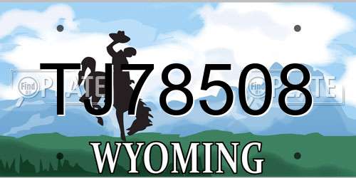 TJ78508 Wyoming License Plate